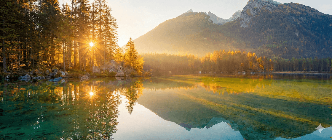 YUTER Reverie hero banner